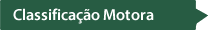 Classificao motora